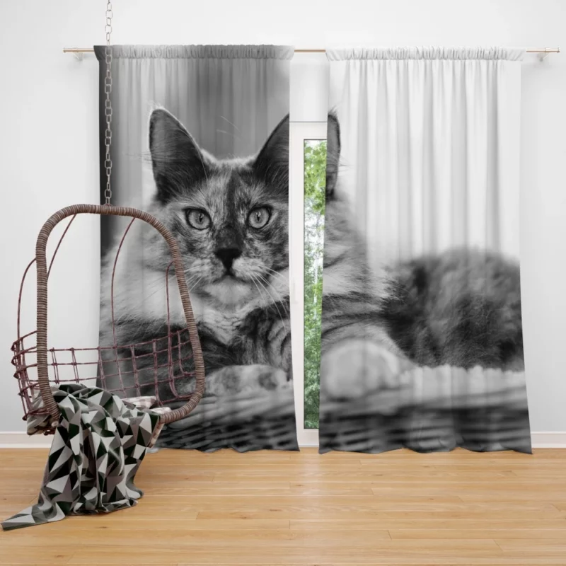 Leopard Fierce Roar Wild Majesty Curtain