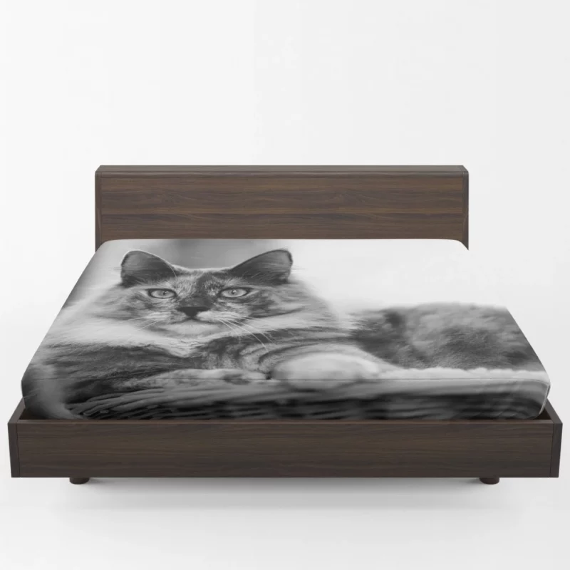 Leopard Fierce Roar Wild Majesty Fitted Sheet