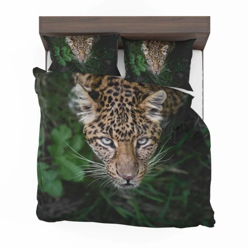 Leopard Intense Stare Enigmatic Power Bedding Set 1