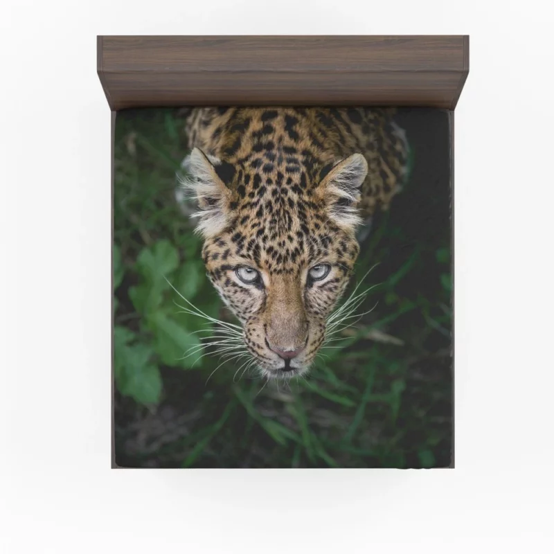 Leopard Intense Stare Enigmatic Power Fitted Sheet 1