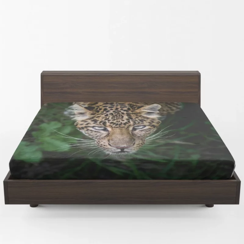 Leopard Intense Stare Enigmatic Power Fitted Sheet