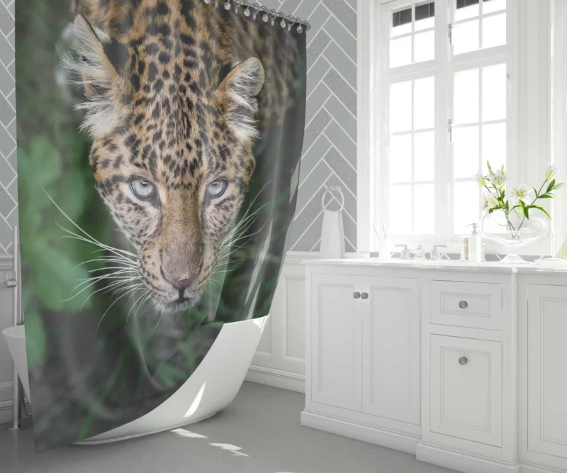 Leopard Intense Stare Enigmatic Power Shower Curtain 1