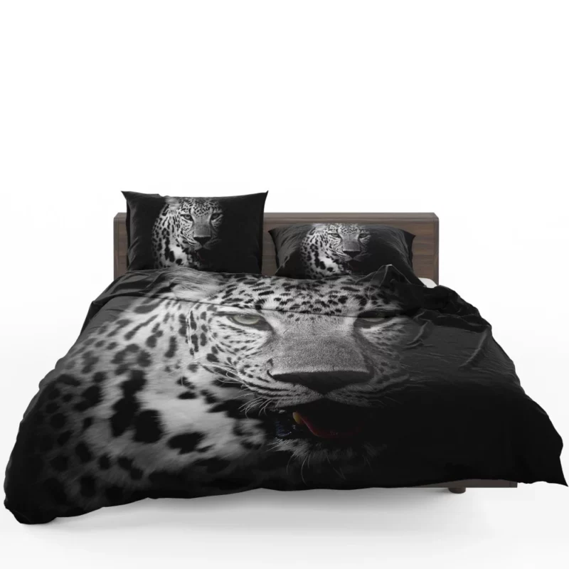 Leopard Intrigue on a Dark Canvas Bedding Set