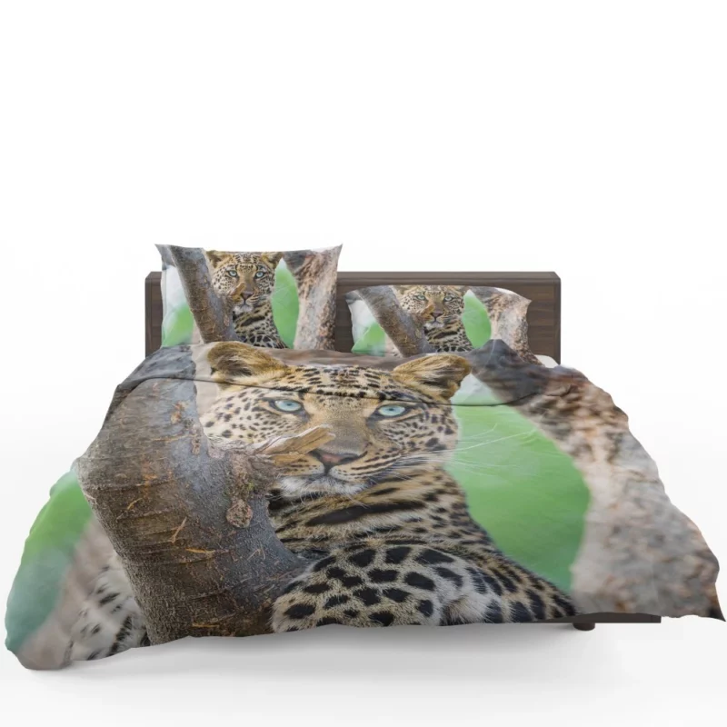 Leopard Majestic Perch Regal Stare Bedding Set