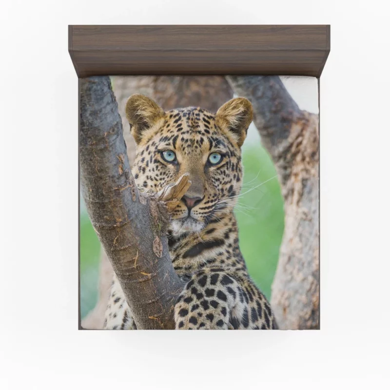 Leopard Majestic Perch Regal Stare Fitted Sheet 1