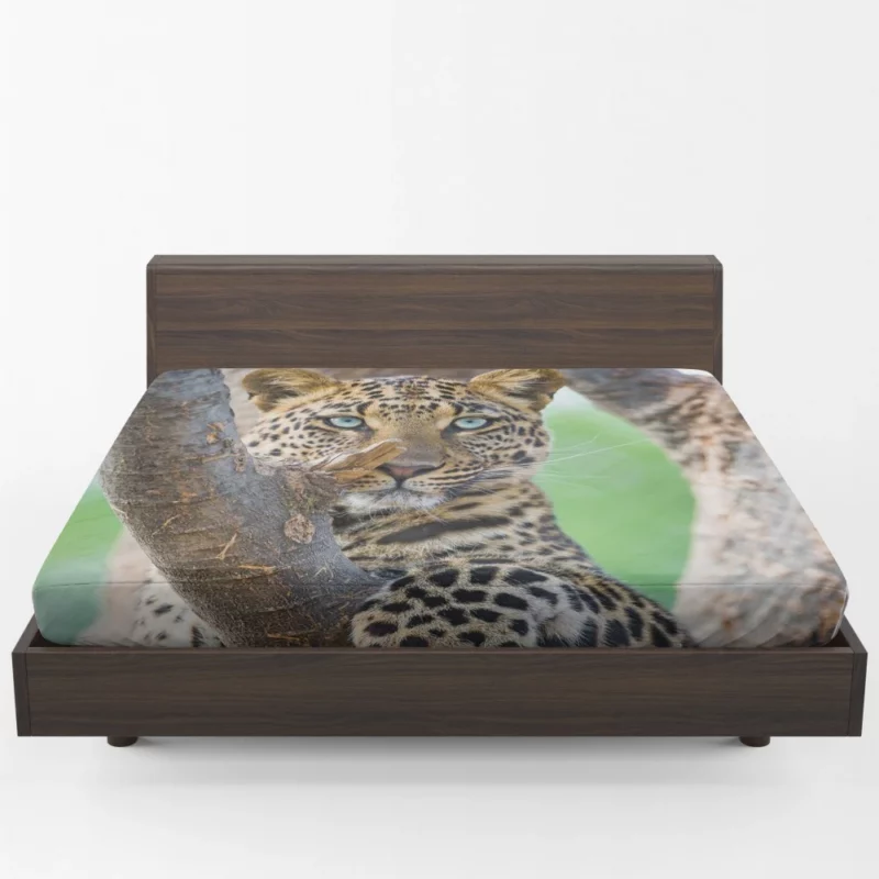 Leopard Majestic Perch Regal Stare Fitted Sheet