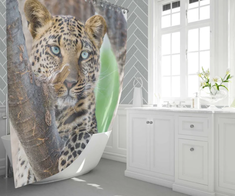 Leopard Majestic Perch Regal Stare Shower Curtain 1