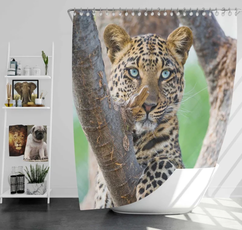 Leopard Majestic Perch Regal Stare Shower Curtain