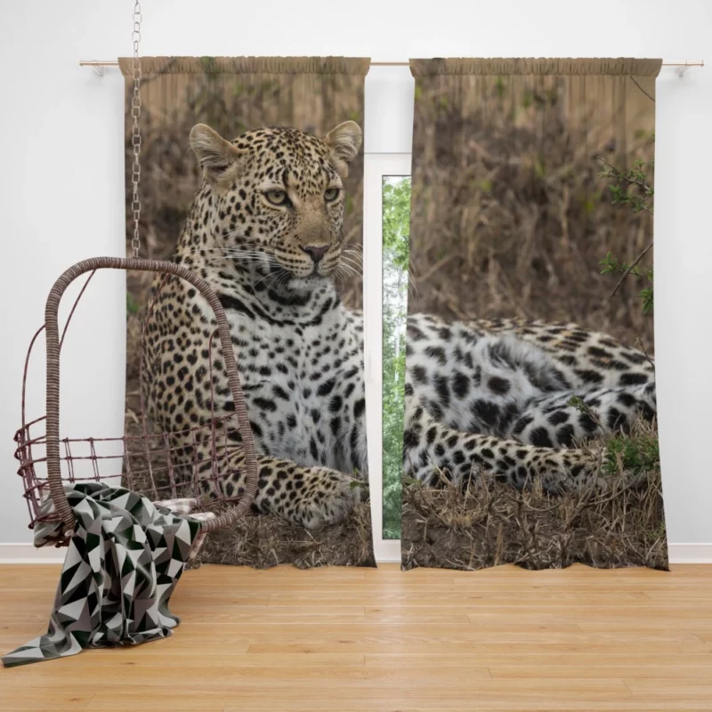 Leopard Mysterious Aura Curtain