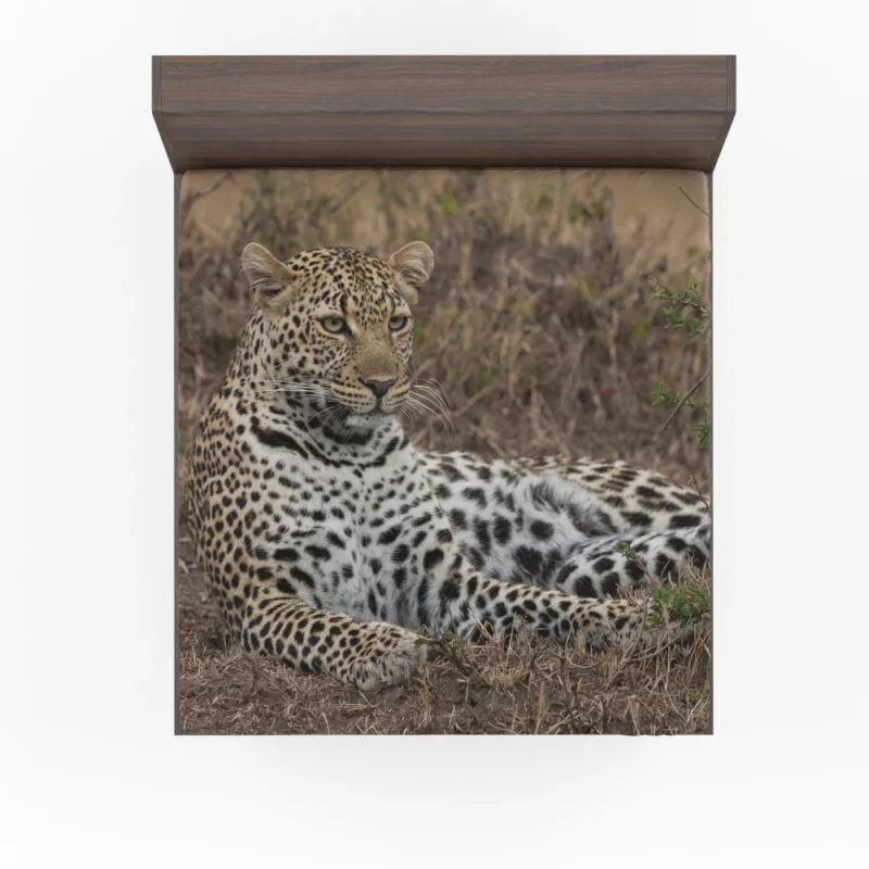 Leopard Mysterious Aura Fitted Sheet 1