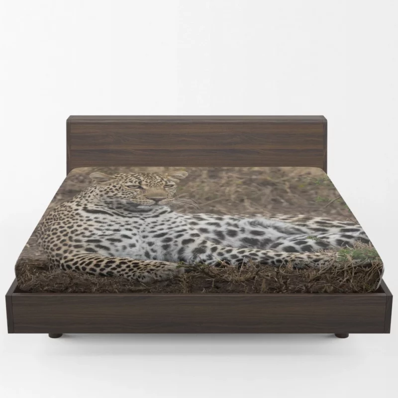 Leopard Mysterious Aura Fitted Sheet