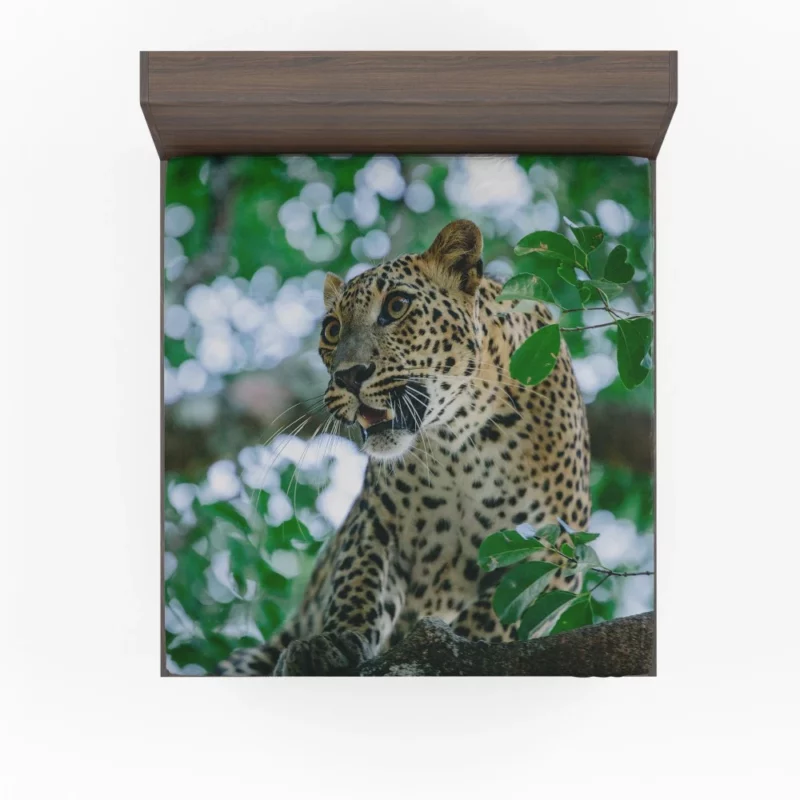 Leopard Mysterious Bokeh Fitted Sheet 1