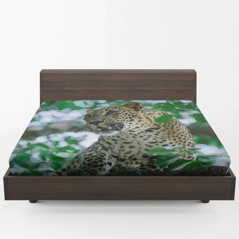 Leopard Mysterious Bokeh Fitted Sheet