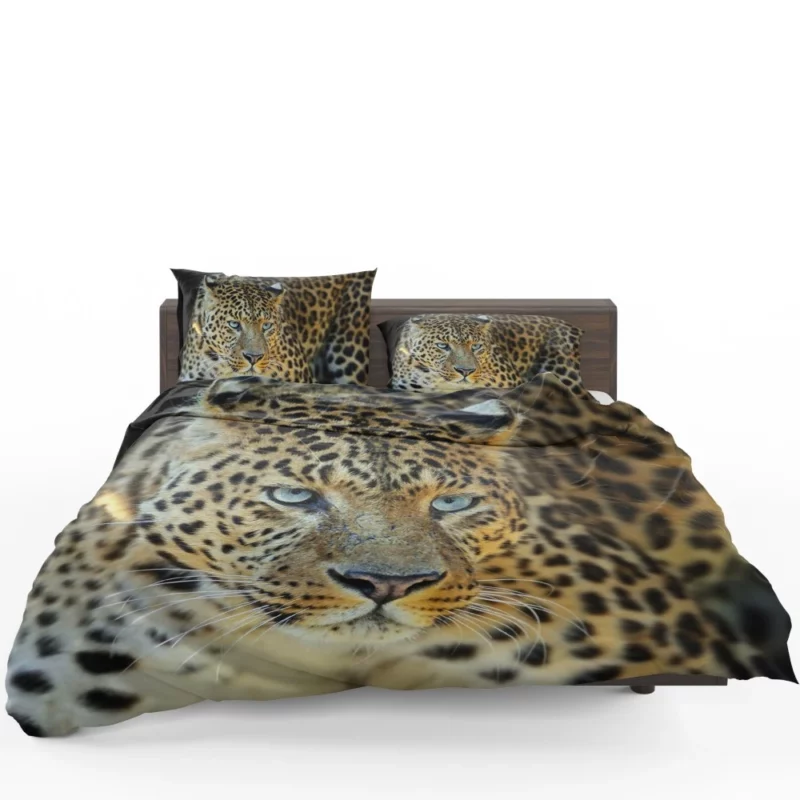 Leopard Mysterious Gaze Enigmatic Beauty Bedding Set