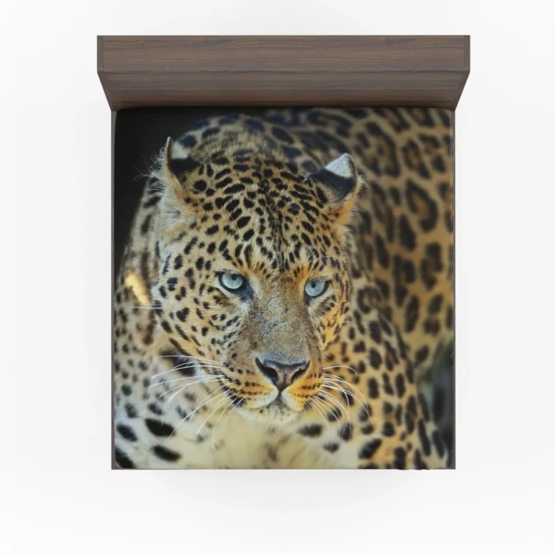 Leopard Mysterious Gaze Enigmatic Beauty Fitted Sheet 1