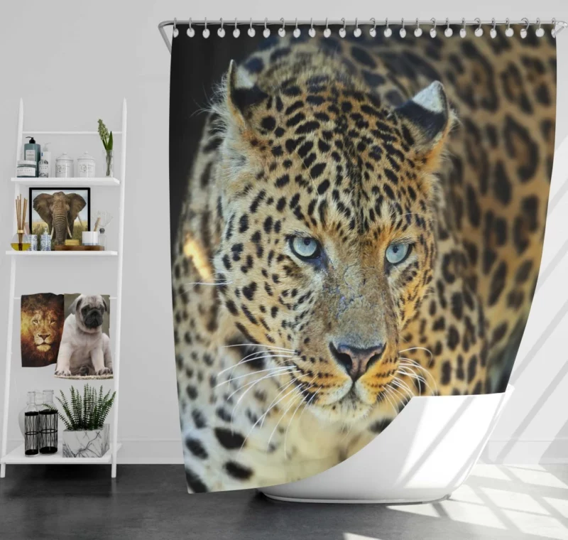 Leopard Mysterious Gaze Enigmatic Beauty Shower Curtain