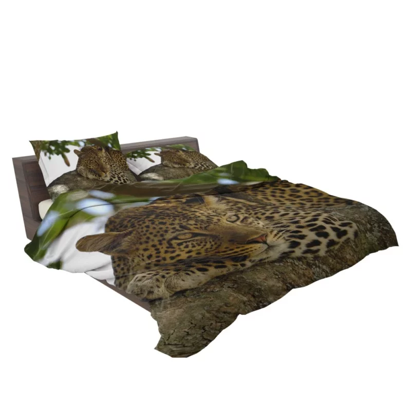 Leopard Mysterious Presence Feline Majesty Bedding Set 2