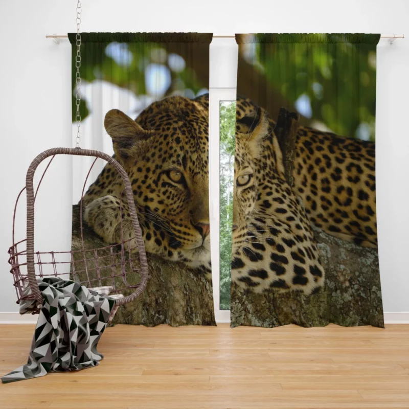 Leopard Mysterious Presence Feline Majesty Curtain