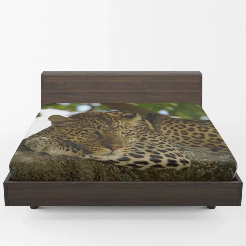 Leopard Mysterious Presence Feline Majesty Fitted Sheet