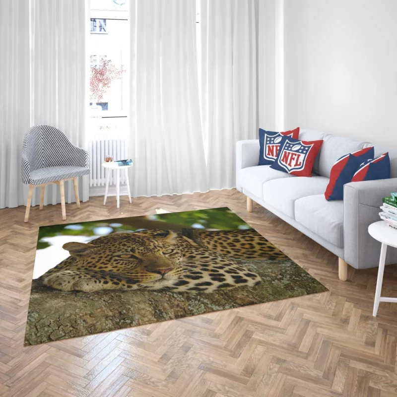 Leopard Mysterious Presence Feline Majesty Rug 2