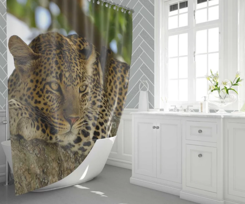 Leopard Mysterious Presence Feline Majesty Shower Curtain 1