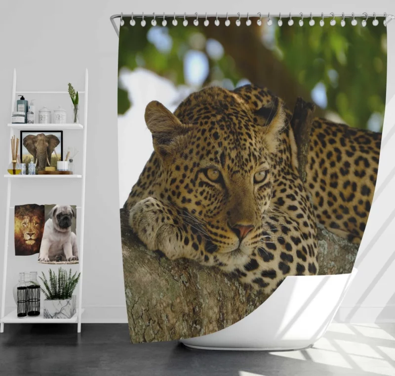 Leopard Mysterious Presence Feline Majesty Shower Curtain