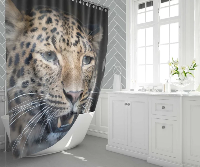 Leopard Mysterious Stare Enigmatic Beauty Shower Curtain 1