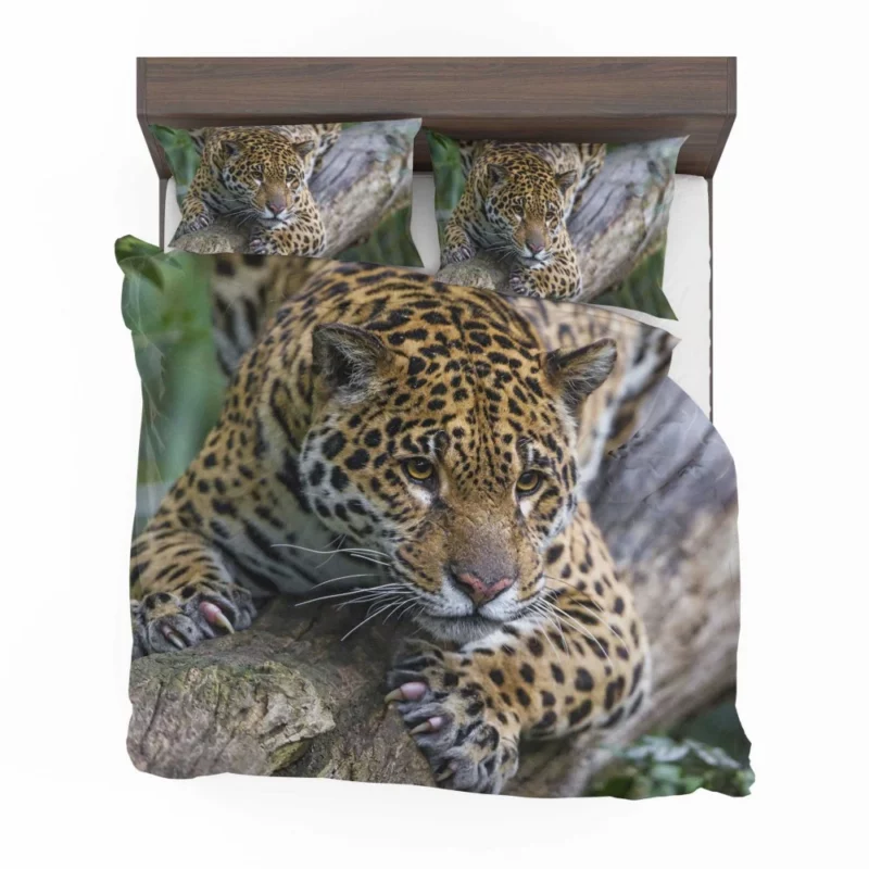 Leopard Perched on Tree Wilderness Elegance Bedding Set 1