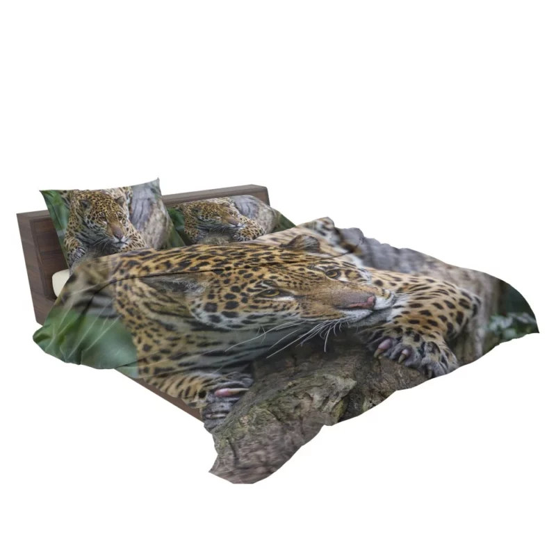 Leopard Perched on Tree Wilderness Elegance Bedding Set 2