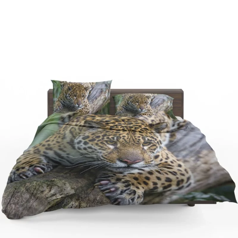 Leopard Perched on Tree Wilderness Elegance Bedding Set