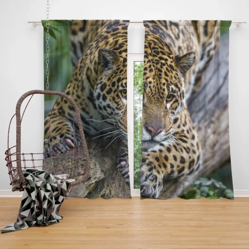 Leopard Perched on Tree Wilderness Elegance Curtain