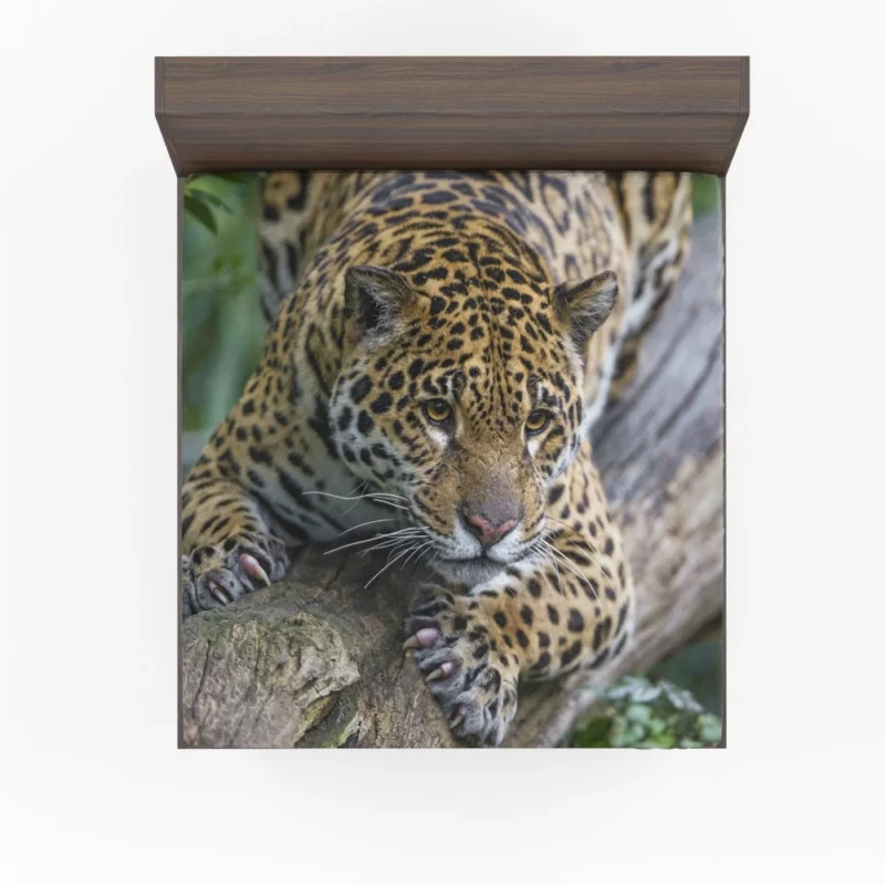 Leopard Perched on Tree Wilderness Elegance Fitted Sheet 1