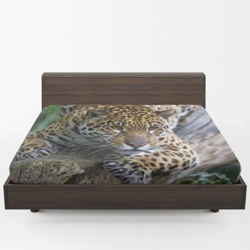 Leopard Perched on Tree Wilderness Elegance Fitted Sheet