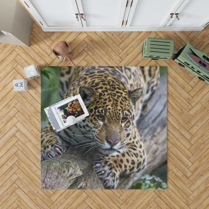 Leopard Perched on Tree Wilderness Elegance Rug