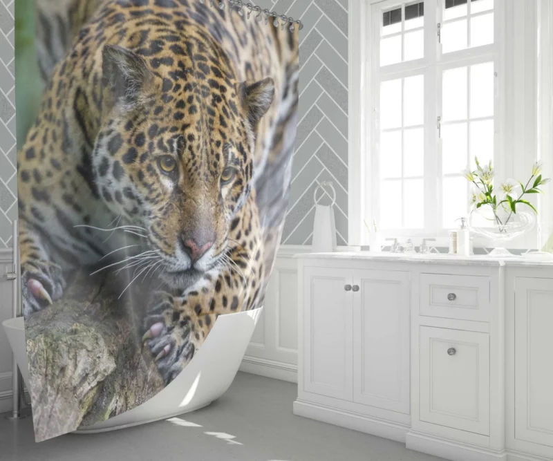 Leopard Perched on Tree Wilderness Elegance Shower Curtain 1