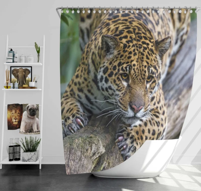 Leopard Perched on Tree Wilderness Elegance Shower Curtain