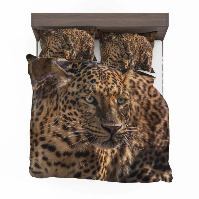 Leopard Power Bedding Set 1