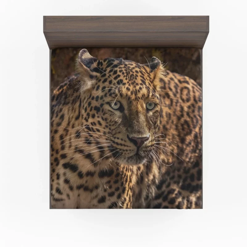 Leopard Power Fitted Sheet 1