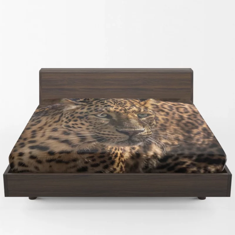 Leopard Power Fitted Sheet