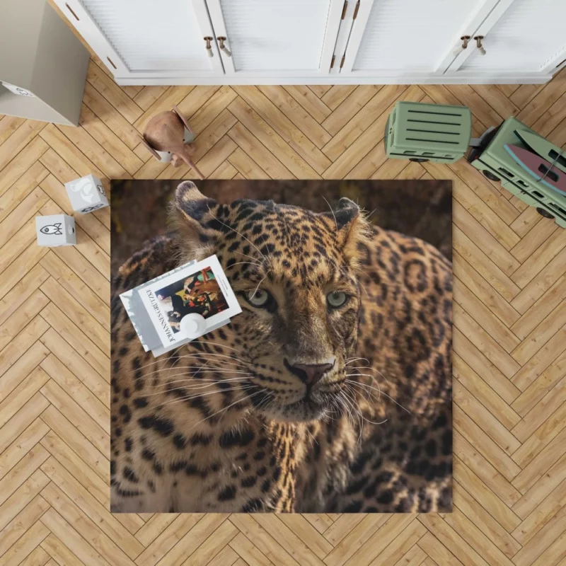 Leopard Power Rug