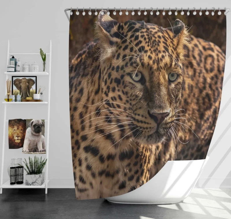 Leopard Power Shower Curtain