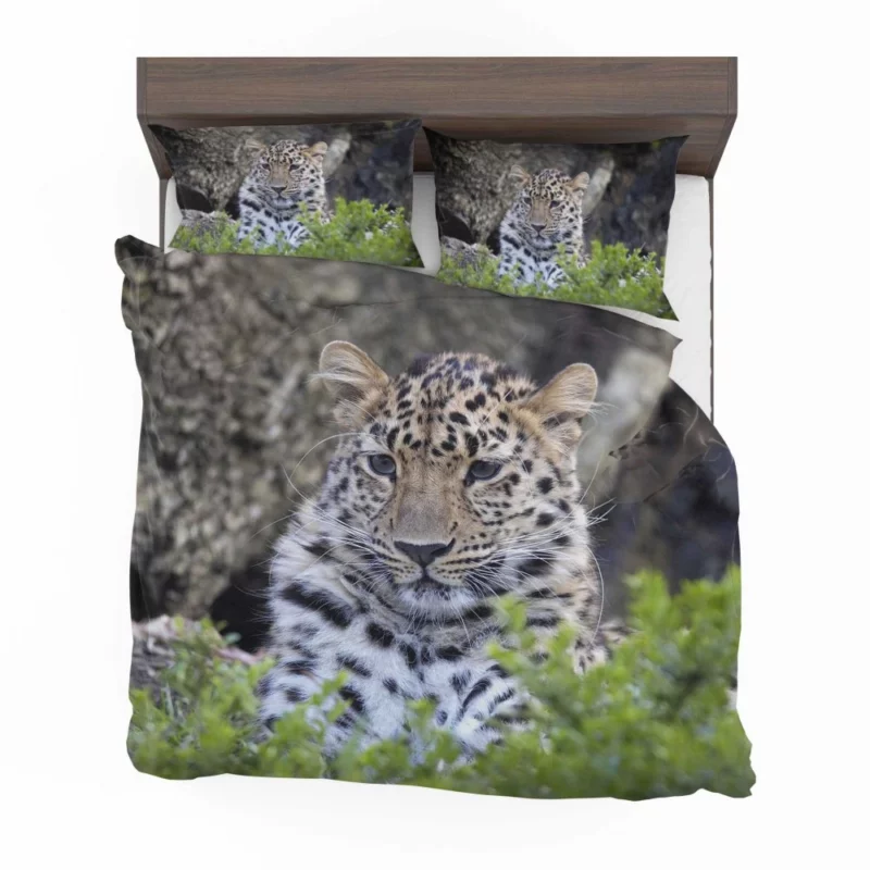 Leopard Powerful Bedding Set 1