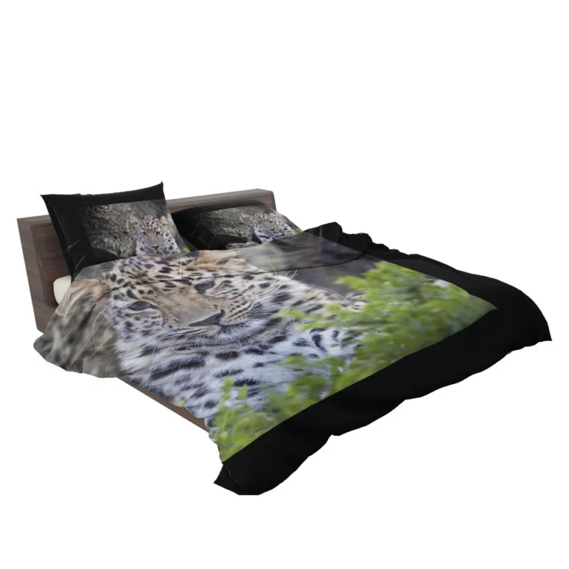 Leopard Powerful Bedding Set 2