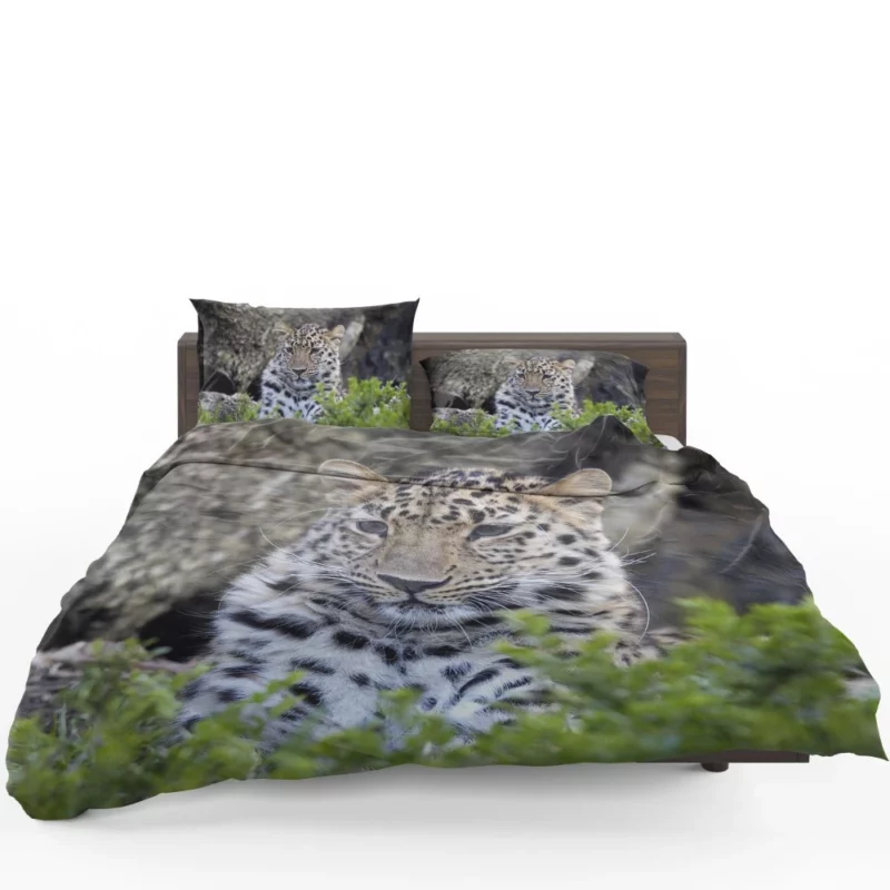 Leopard Powerful Bedding Set