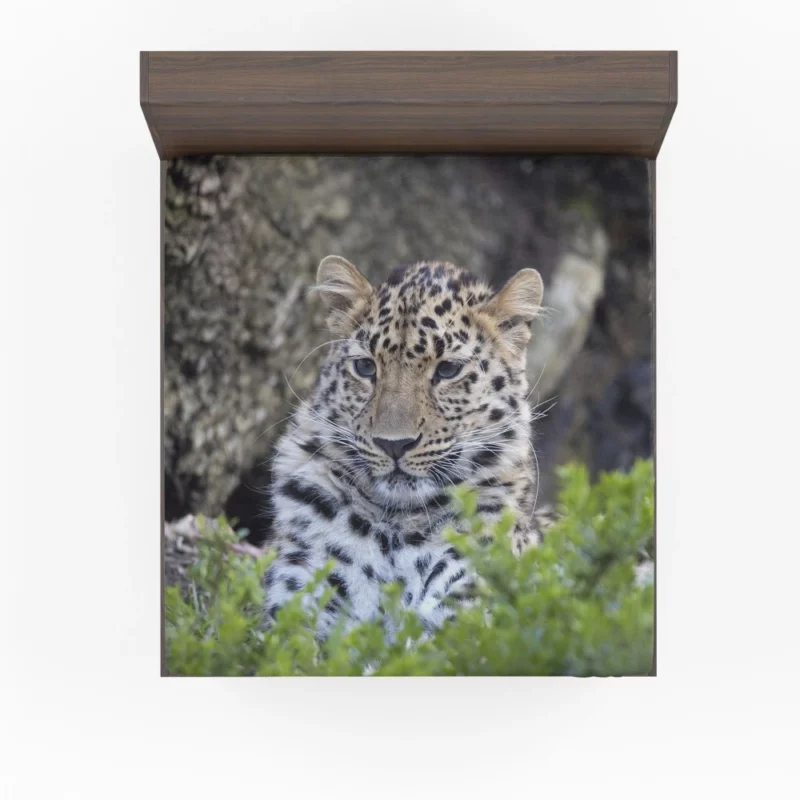 Leopard Powerful Fitted Sheet 1