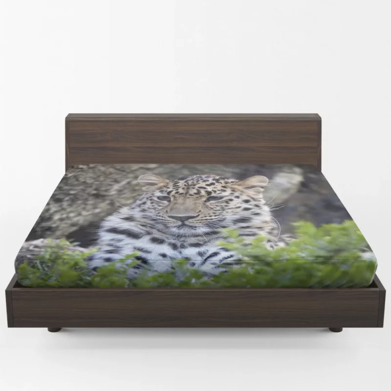 Leopard Powerful Fitted Sheet