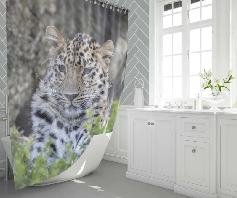 Leopard Powerful Shower Curtain 1