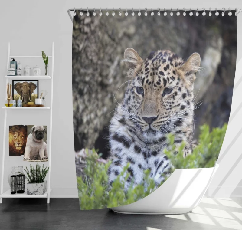 Leopard Powerful Shower Curtain