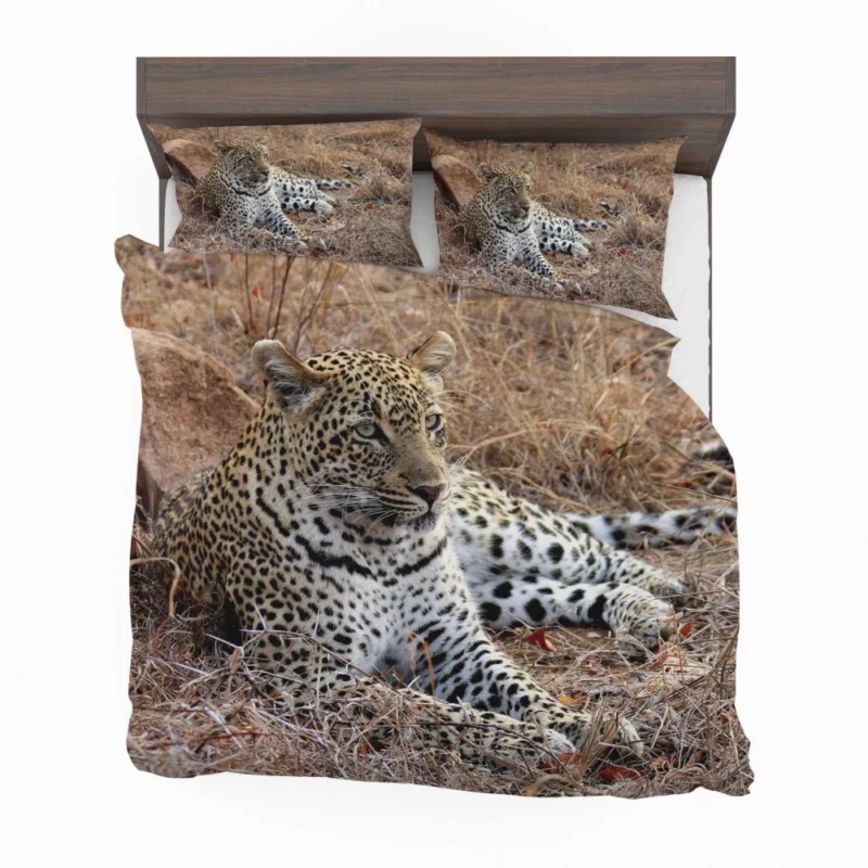 Leopard Relaxation African Haven Bedding Set 1