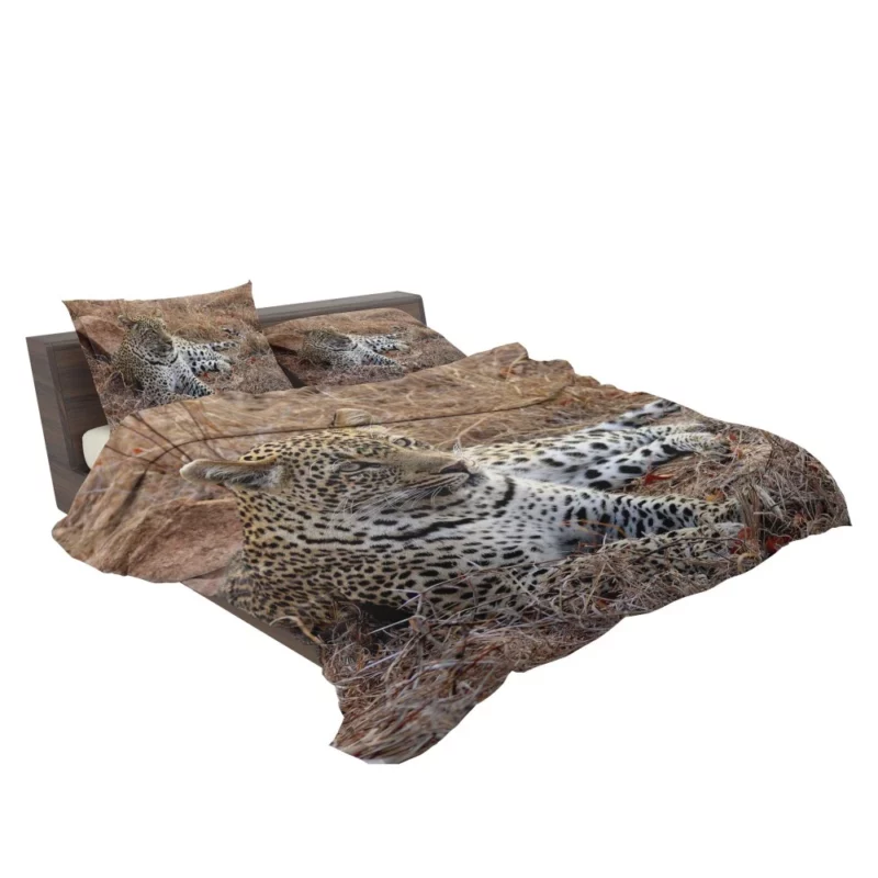 Leopard Relaxation African Haven Bedding Set 2